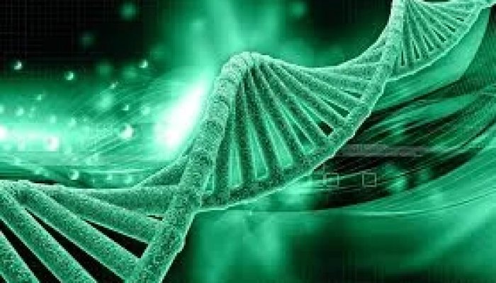 Careful about Health, your DNA can change if you are Doing late Night Work