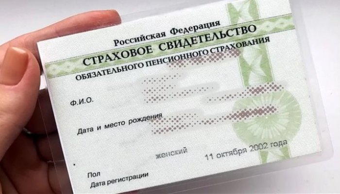 Что такое СНИЛС и зачем он нужен взрослым и детям