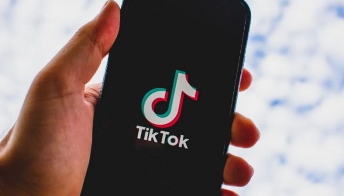 Как накрутить лайки в TikTok бесплатно и быстро