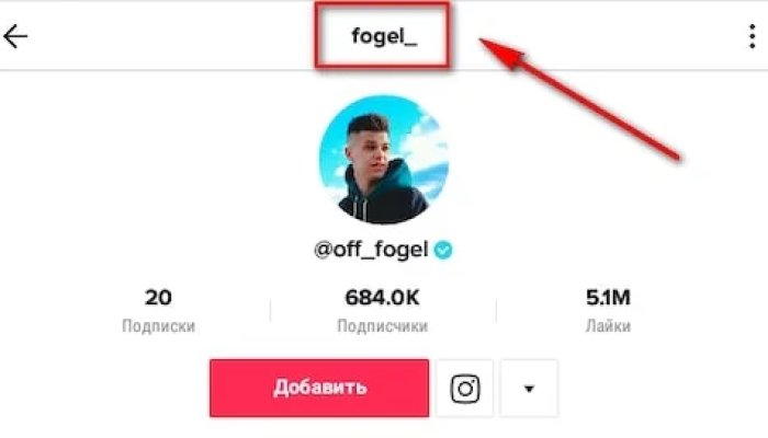 Описание профиля в Тик-Ток — идеи, +27 примеров