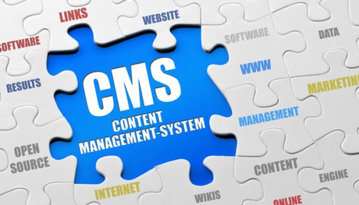 CMS для сайта: бесплатная лицензия может обернуться дорогой поддержкой