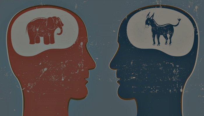 Предвзятость – что это?