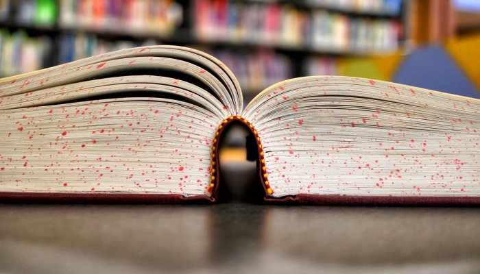 Academic Research. Where to Start and What to Do?