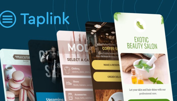 Tap.link уже не просто мультиссылка: платежи и домен требуют Business