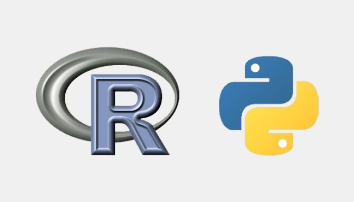 What Is The Difference Between Python And R In AI Developments?
