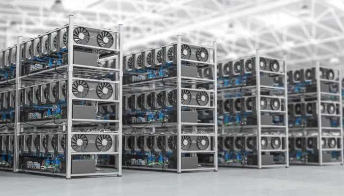 The Environmental Impact of Hosted Mining