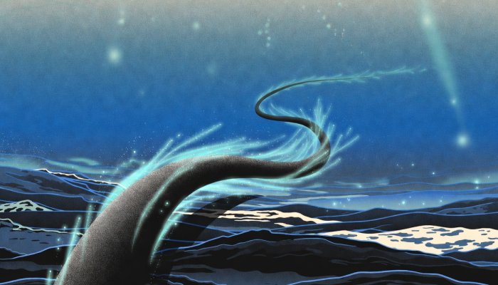 The Undersea Cable That Reveals How Power Really Works