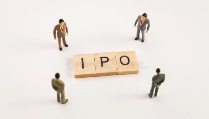 Как инвестировать в IPO: пошаговая инструкция для частного инвестора