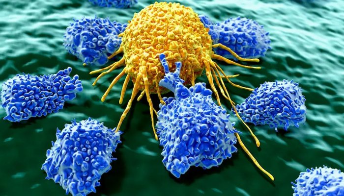 Scientists Build Tiny Robots That Can Inspect, Manipulate Your Cells
