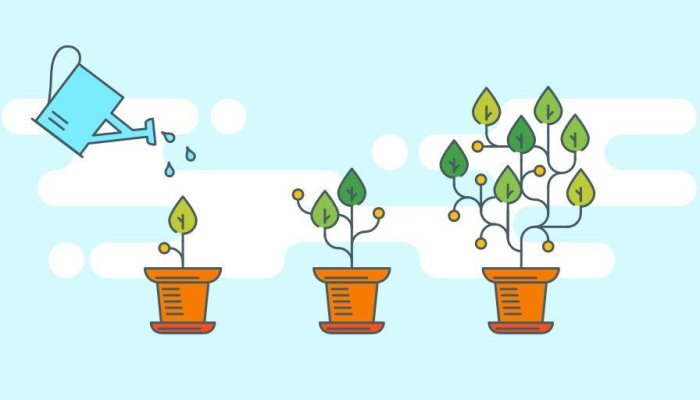 What is Customer Lifetime Value and Customer Acquisition Cost?