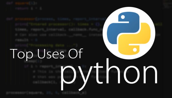 What is Python Used For?