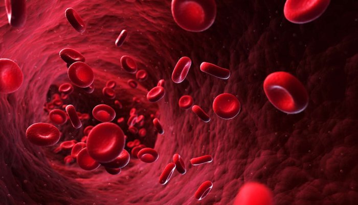 First Ever Humans Injected With Synthetic, Lab-Grown Blood