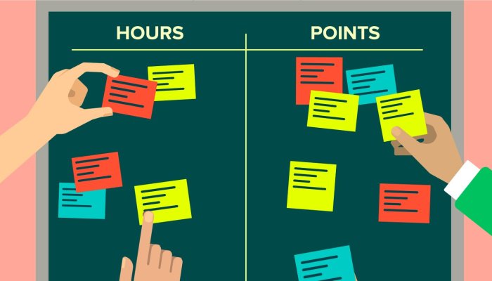 How to Estimate Software Bugs? And should You?