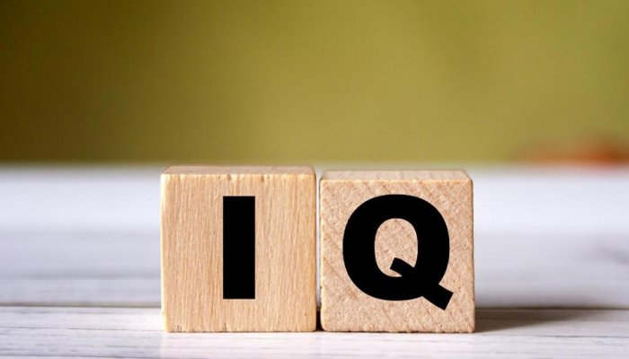 Что такое IQ?