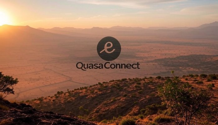 Compensating for Foreign Currency Shortage in Ethiopia with Cryptocurrency Earnings: The Role of Quasa Connect App