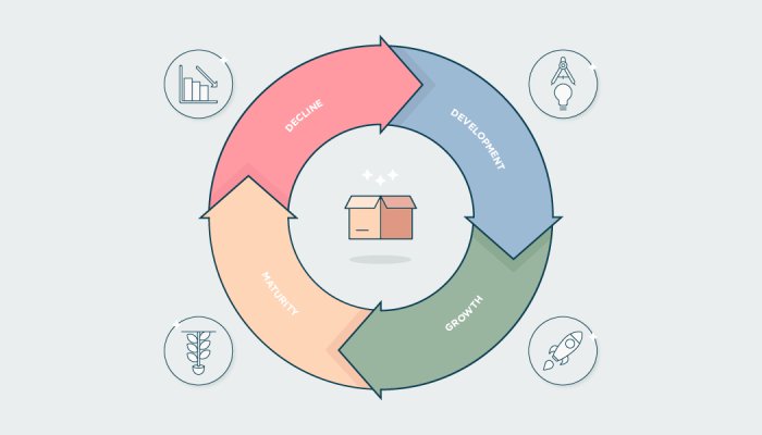 What is the Product Life Cycle? Stages and Effects Explained