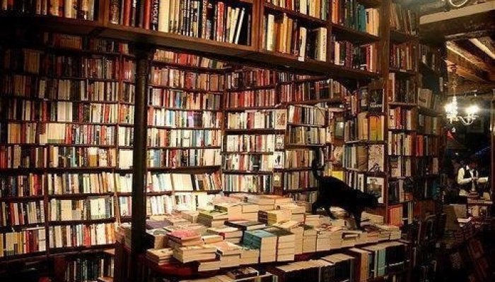 Где дешево покупать книги