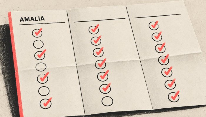 AMALIA, ChatGPT ou Claude: privacidade local troca-se por menos acertos?