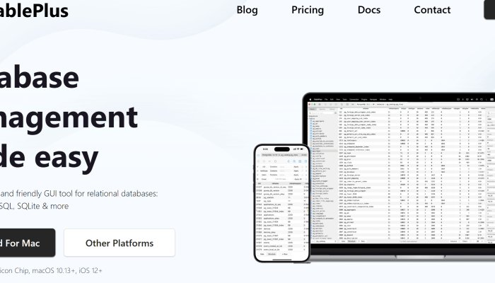 How Wonderful That AI Has Freed Us from Needing to Learn SQL