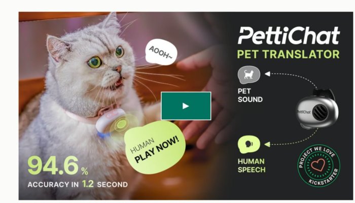 “It’s Crazy What Startups Will Do for Funding: Meet PettiChat, the $118 Collar That ‘Translates’ Your Dog with 95% Accuracy… Sure, Jan.”