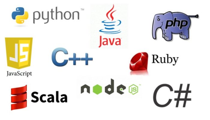 Top 7 Programming Languages Used in Popular Websites
