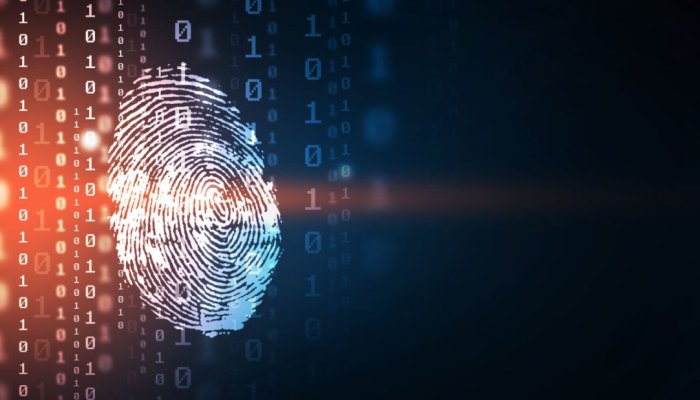 Цифровой след: как компании используют наши данные в интернете