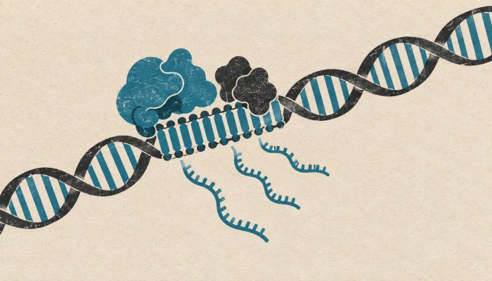 Claude findet ein CRISPR-ähnliches System – die Funktion bleibt offen