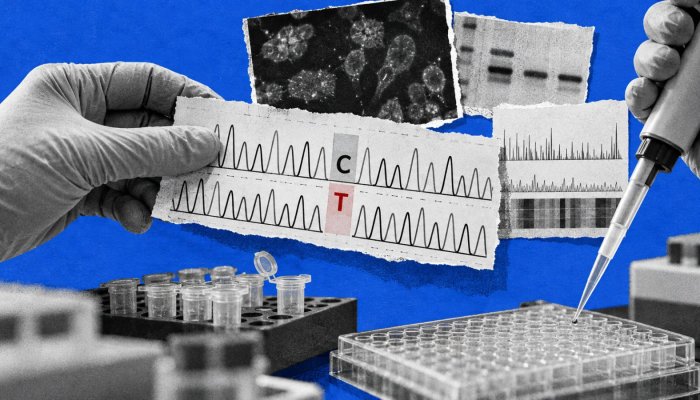 Use AlphaGenome Atlas Without Mistaking a Prediction for a Diagnosis