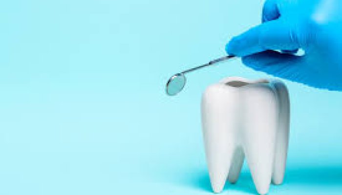 Why Families Prioritize Preventive Dental Health Today