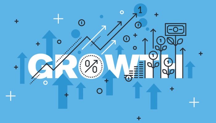 Want Rapid Growth in Your Business? These Tips can Ease
