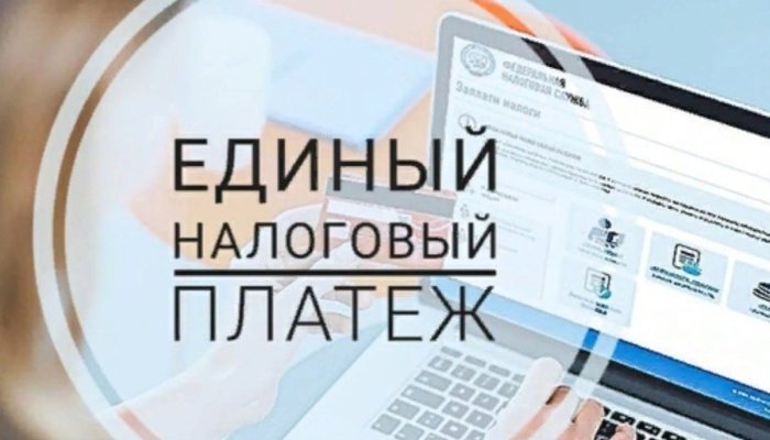 Единый налоговый платеж для бизнеса