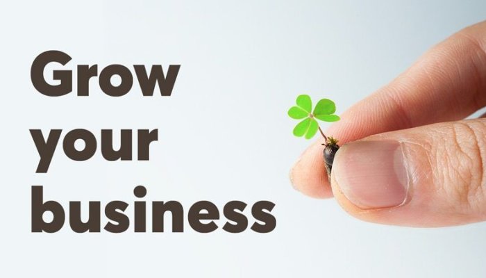 How Digital Marketing Helps to Grow your Business