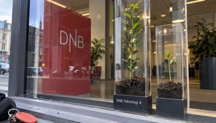 DNB Teknologi eller Nordnet Indeks: 0,85 prosentpoeng skiller kostnaden