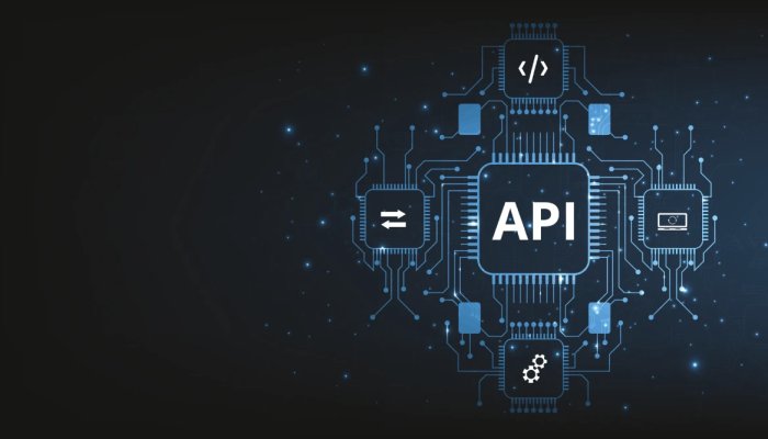 API Security Beginner’s Guide