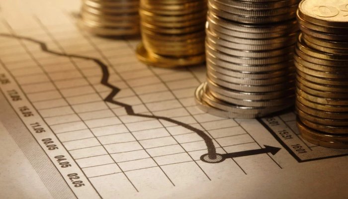 Что такое бюджетные инвестиции: цели и порядок предоставления государственных денег