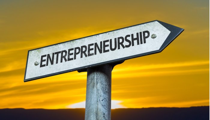 How Entrepreneurship Can clean up the Problem of Unemployment