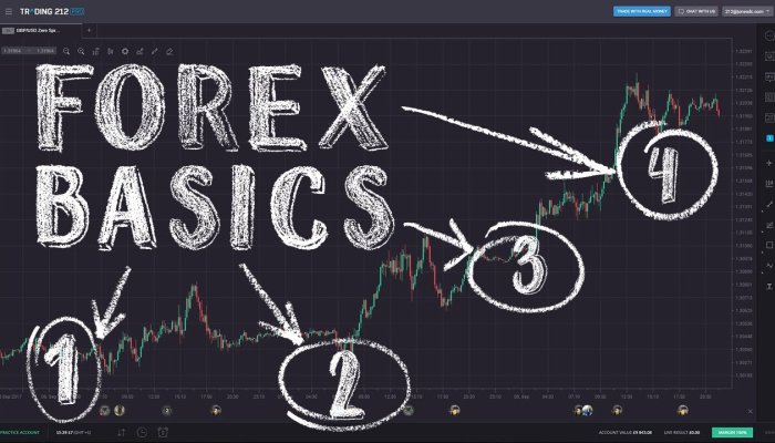 Forex Trading for Beginners