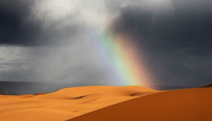 Our Climate Is So Screwed Up, It Rained in the Sahara Desert