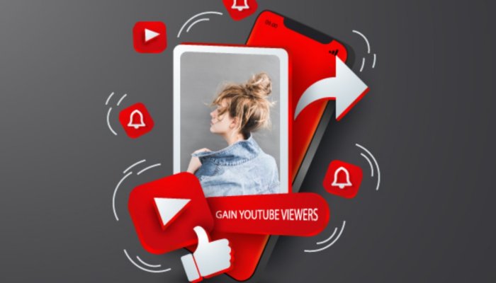 Subscriberz Review: Strategy Impact Through Purchased Followers