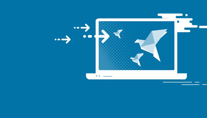 Analyzing the Impact of Video Backgrounds: A Trend in Web Design