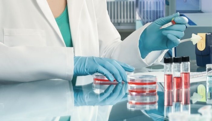 How to Start a Pharmaceutical Company