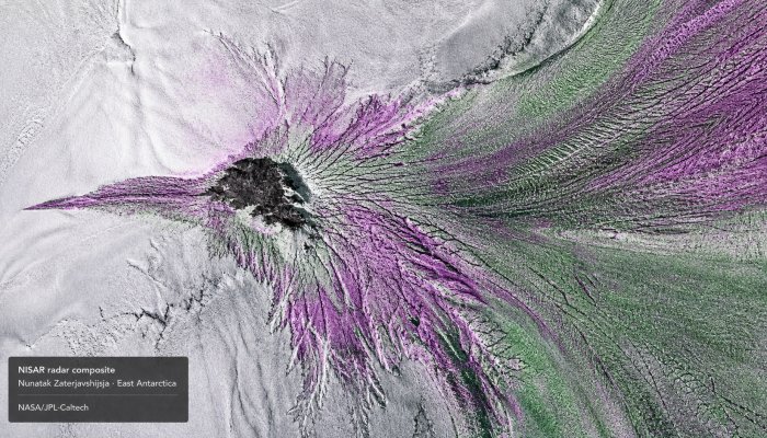 NASA Hummingbird-Shaped Satellite Image: What NISAR Saw in Antarctica