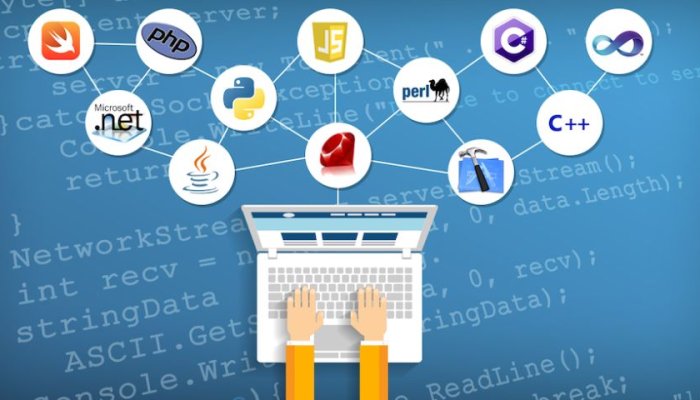 Best Websites to Learn the Code for Free