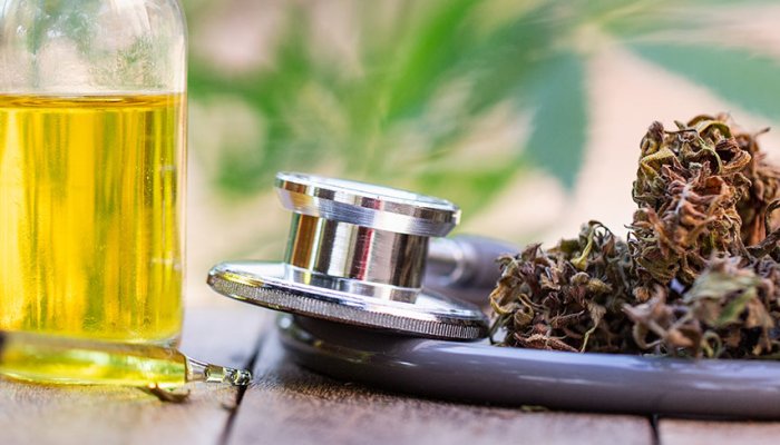 SEO for CBD Companies