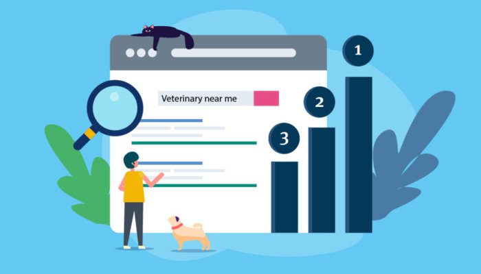 Veterinary SEO