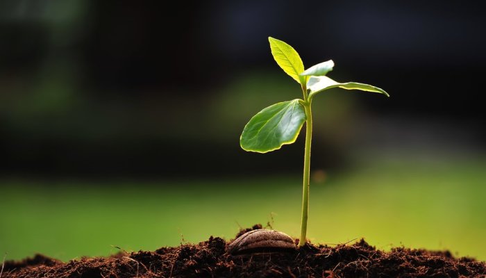 Biggest and Most Easily Hackable Drivers of Growth for Early-Stage Startups Regardless of the Market