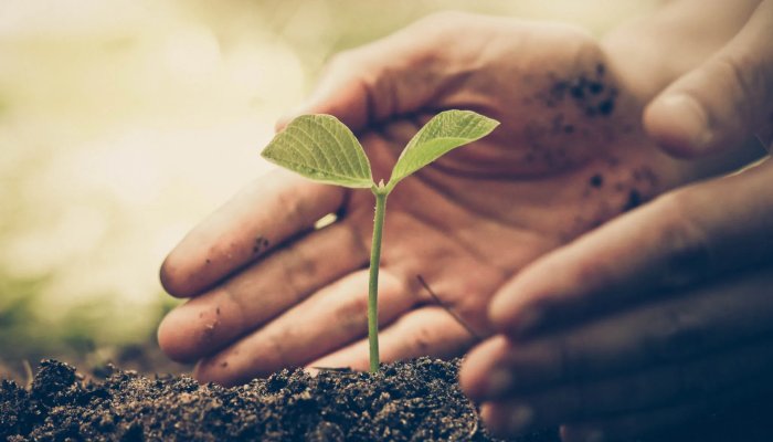 5 Ways to Grow Your Customer Relationships Through Social Media