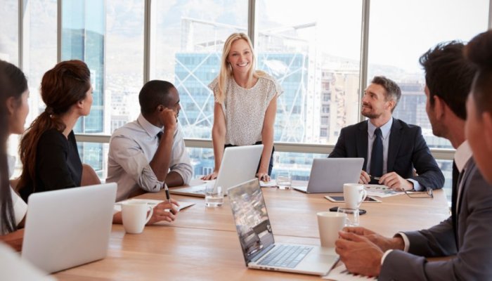 What Is the Maturity Model In Business?