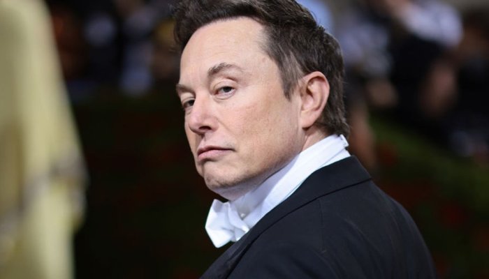 Top AI Researcher Points Out That If Elon Musk Was Rational, He'd Vote for Kamala Harris