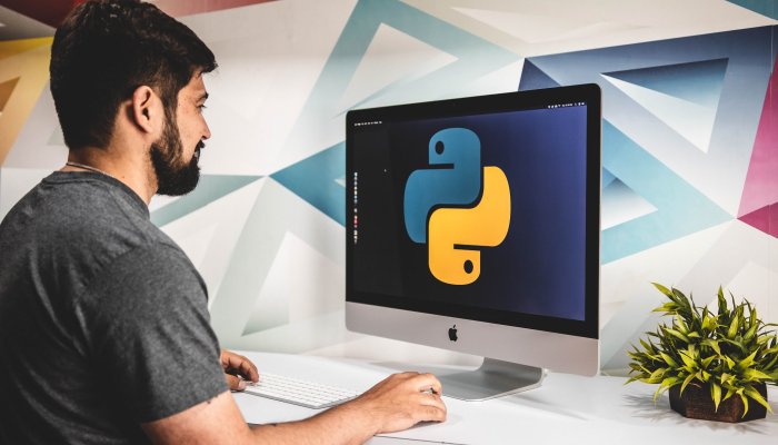 Как стать разработчиком Python: Каков наилучший карьерный путь разработчика Python?